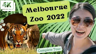 【4K】 Melbourne Zoo Australia | A Day Out in April 2022 | Full Tour 4K #melbournezoo #travelaustralia