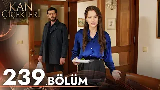 Kan Çiçekleri 239. Bölüm