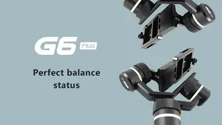 Perfect balance status in G6 Plus | FeiyuTech Tutorial