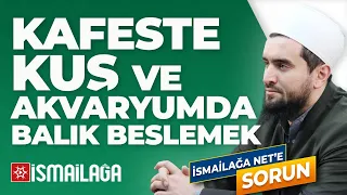 Kafeste Kuş ve Akvaryumda Balık Beslemek Dinen Yasak mı? - Abdülhamid Türkeri Hoca Efendi