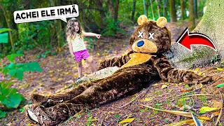 ENCONTRAMOS O URSO GIGANTE DESMAIADO NA FLORESTA!