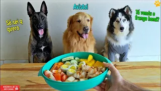 Reações a diversas comidas - Testando os sabores (Olha o Husky)