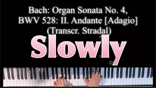 🎹Bach: Organ Sonata No. 4, BWV 528: II. Andante [Adagio] (Transcr. Stradal)Slow Reading sheet music