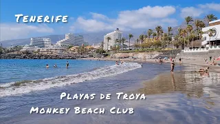 🐒 Tenerife Beach. Monkey Beach Club. Playas de Troya. Spain. 4K