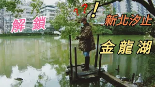 【路亞釣遊趣】解鎖新北市汐止區金龍湖，大口黑鱸魚。