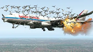 MASSIVE BIRD STRIKE ATTACK BOEING 747 CAUSING IT CRASH