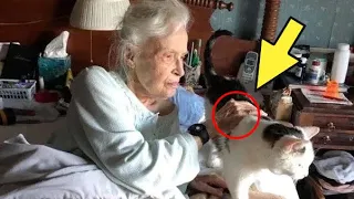На 101-летие бабушка попросила принести ей старого кота. То, что она сделала поражает!