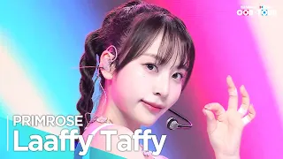 [Simply K-Pop CON-TOUR] PRIMROSE(프림로즈) - 'Laaffy Taffy(라피태피)' _ Ep.584 | [4K]