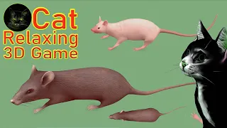 Video For Cats -  Rats - Cat Games, Catching Rat Video for Cats