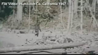 FBI Documents Reveal Bigfoot Investigation