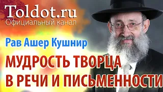 Рав Ашер Кушнир. Проявление мудрости Творца в даре речи и письменности. Обязанности сердец 29