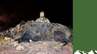 Giant Turkish Wild Boar Hunt