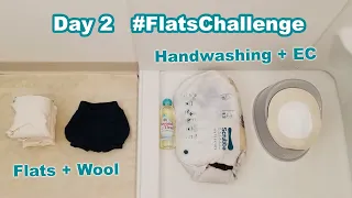 Day 2 MY CHALLENGE: Flat Cloth Diapers + Wool Covers, Handwashing + EC