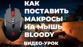 Как установить макросы на мышку Bloody (Видео-урок)