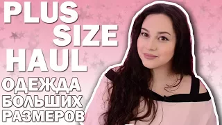 PLUS SIZE HAUL /ОДЕЖДА БОЛЬШИХ РАЗМЕРОВ/АРТЕССА/С ПРИМЕРКОЙ