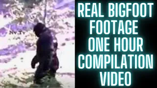 Real BIGFOOT Footage ONE HOUR Compilation Video