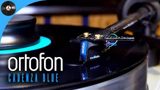 Обзор головки звукоснимателя Ortofon Cadenza Blue