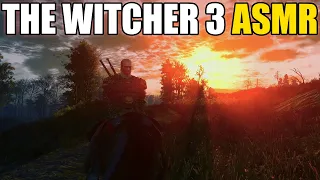 THE WITCHER 3 | ASMR