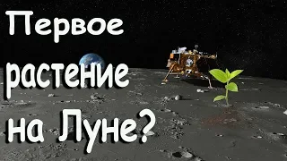 Космический аппарат Чанъэ-4 на обратной стороне Луны. Первое растение на луне.