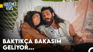 Aşık Olunca Saçmalayanlar Derneği Başkanı - Erkenci Kuş