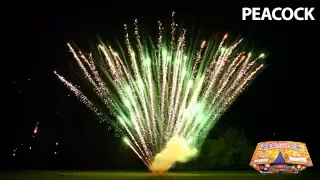 PEACOCK FAN CAKE - Fireworks