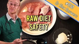 Raw Diet for Dogs and Cats - Is it Risk Free? - Dog + Cat Health Vet Advice