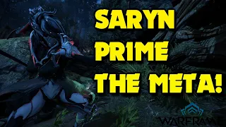 Saryn vs LVL 9999 | The META QUEEN! | Full Build Guide | Echoes of Duviri