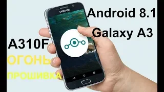 Устанавливаю прошивку Android 8.1 на GALAXY A3 2016 / A310F