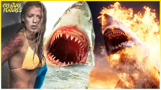 The Shallows Most Brutal Shark Attacks | The Shallows | Creature Features