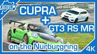 LEON CUPRA - warm up Lap between Porsche GT3 MR + BMW M3 E92 - NÜRBURGRING NORDSCHLEIFE - BTG 4K