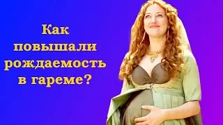 Как повышали рождаемость в гареме?