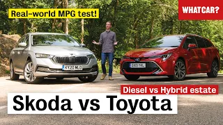 Skoda Octavia Estate vs Toyota Corolla Touring Sports review – diesel or hybrid?  | What Car?