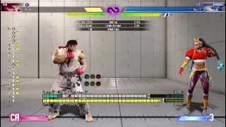 Ryu Punish Counter Level 3 Combo