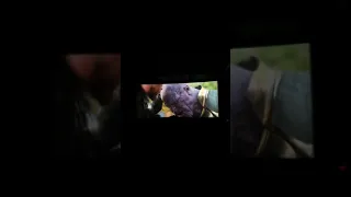 The Snap/You Should Have Gone For The Head|Avengers Infinity War|Theatre Reaction