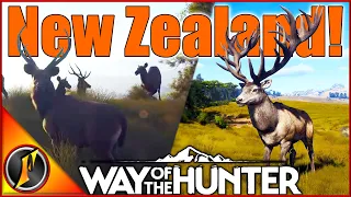 GIANT Red Deer, Sambar Deer & So Much More! | New Zealand Revealed for Way of the Hunter!