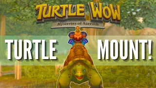 How to get the TURTLE MOUNT in 2023 - TURTLE WOW