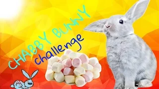 CHABBY BUNNY CHALLENGE/ ПУХЛЫЙ КРОЛИК И НАКАЗАНИЕ.