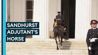 Why is a horse ridden up the steps at end of Sovereign's Parade?