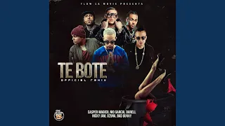 Te Boté (Remix)