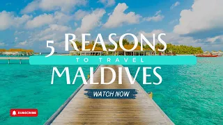 The Top Five Stellar Reasons The Maldives Should Be your Next Vacation In 2024!