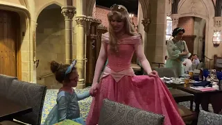 Meeting Princess Aurora while at Cinderella’s Royal Table dinner