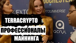 terracrypto: черный майнинг, б/у асики и вывод битков на рублевую карту