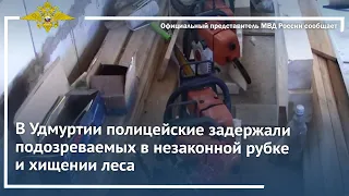 Ирина Волк: В Удмуртии полицейские задержали подозреваемых в незаконной рубке и хищении леса