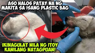 ASO HALOS PATAY NA NG MAKITA SA ISANG PLASTIC BAG IKINAGULAT NILA NG ITOY KANILANG NATAGPUAN