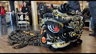 Lion Dance Eye Dotting Ceremony by Tang's Pak Mei | Grandmaster Tang Cho Tak 51st Anniversary