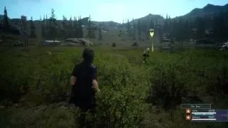 FINAL FANTASY XV Update 2.O Looking for Mushrooms!?