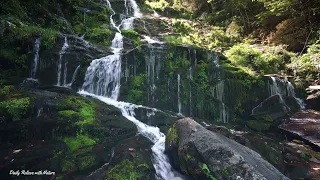 Take A Deep Breath  Relaxing❣️with Peaceful Water Sounds| 1 Hour Flowing Streams