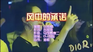 小阿枫《风中的承诺（DJ抖音版）》 KTV 导唱字幕 （备有伴奏视频）