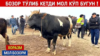 ХОРАЗМ УРГАНЧ МОЛ БОЗОРИ 3-ДЕКАБР БУГУН БОЗОР ТУ́ЛДИ НАРХЛАР КАНДАЙ БУ́ЛЯПТИ !!! ХОРАЗМ БОЗОР