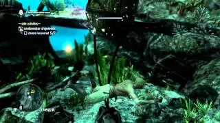 Assassin's Creed® IV Black Flag Underwater Antocha Wreck